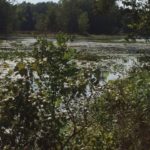 St. Joseph River from #12 fairway